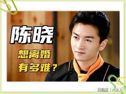 张小寒爆料陈晓视频播放,真相背后引热议  第2张